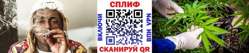 Канабис конопля  Арамиль 